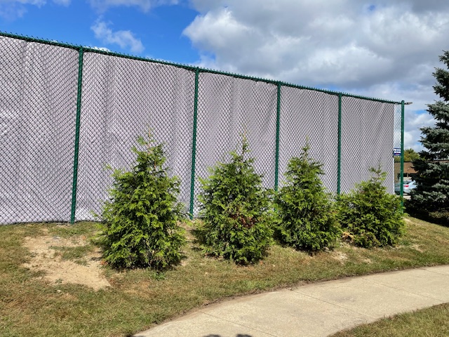 Sound Control Curtains - Image 13